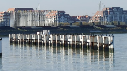 VVW-Nieuwpoort